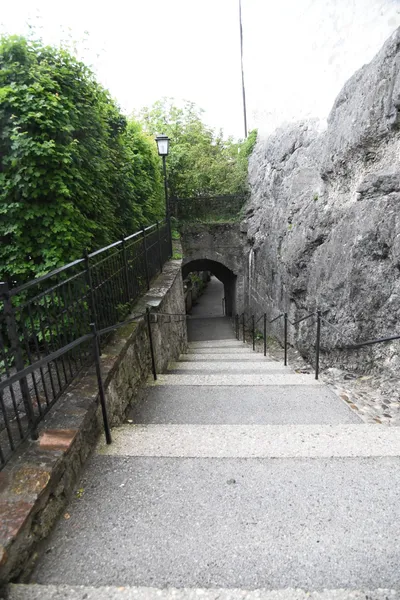 DSC_6387 (Large).JPG